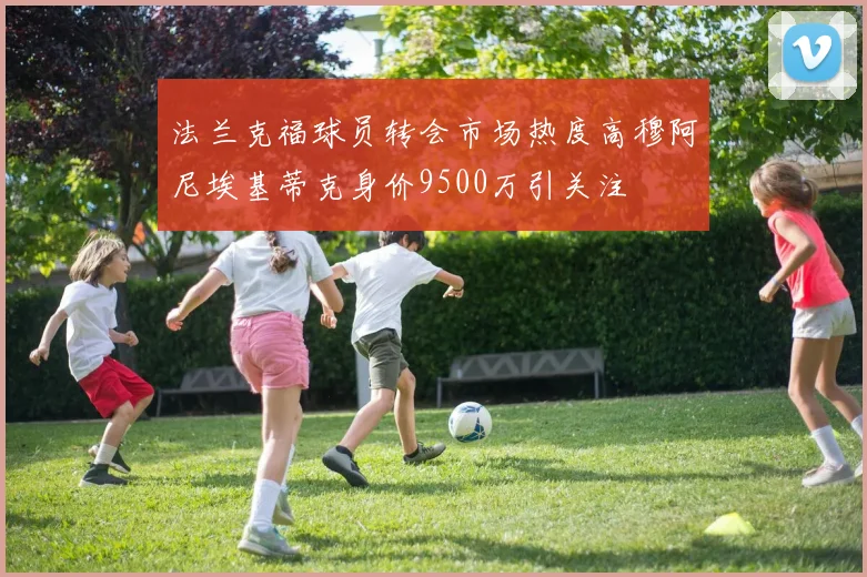 法兰克福球员转会市场热度高穆阿尼埃基蒂克身价9500万引关注
